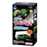 昆虫標本箱のおすすめ人気ランキング【2026年6月】 1