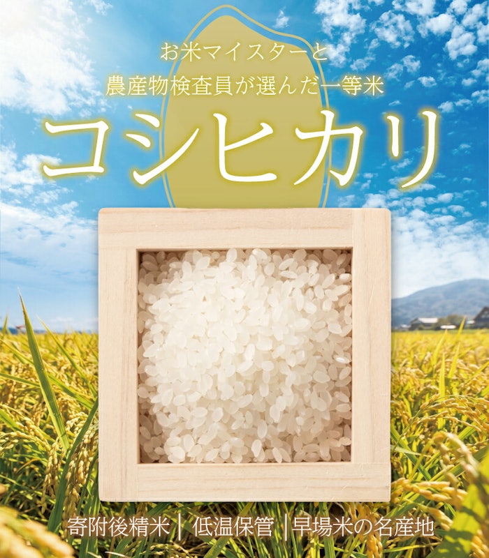令和8年産 千葉県産 コシヒカリ 5kg 2