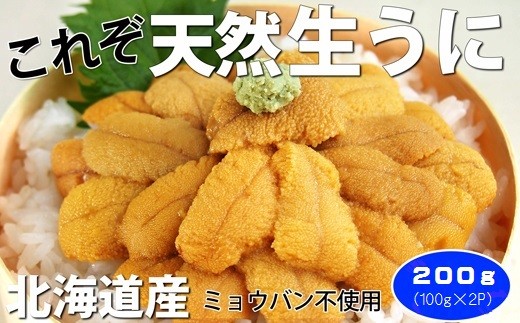 北海道産天然塩水うに 1