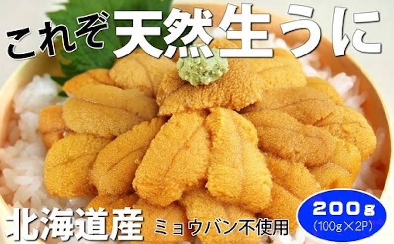 北海道産天然塩水うに 1