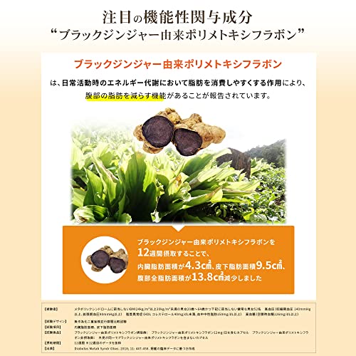 メタプラス ウエスト 4