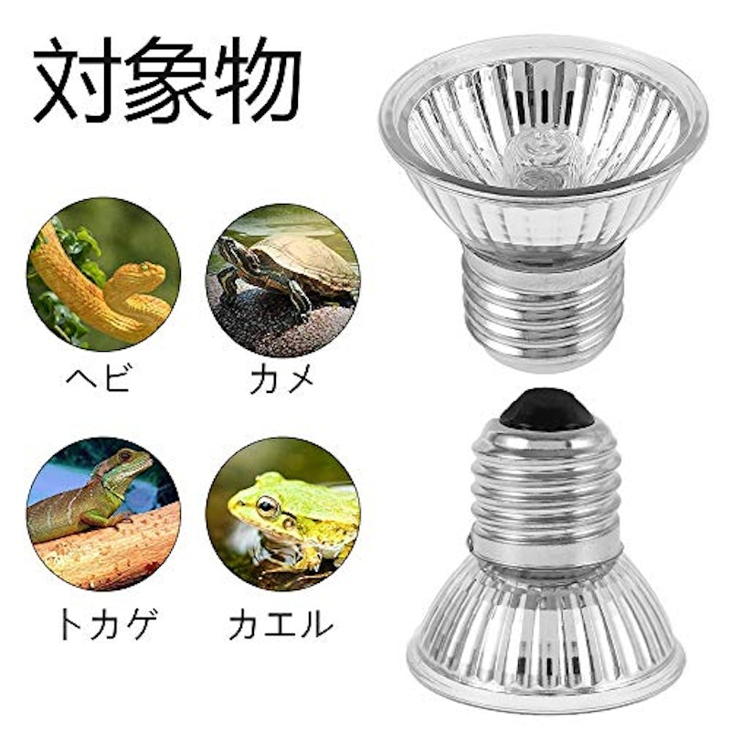 爬虫類ライト 3