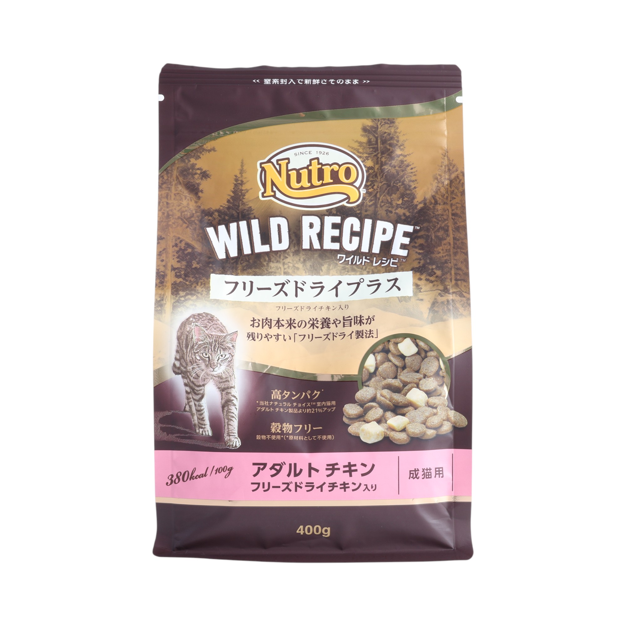 WILD RECIPE フリーズドライプラス 1kg×10袋 アダルトサーモン