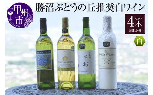 勝沼ぶどうの丘推奨白ワインセット 1