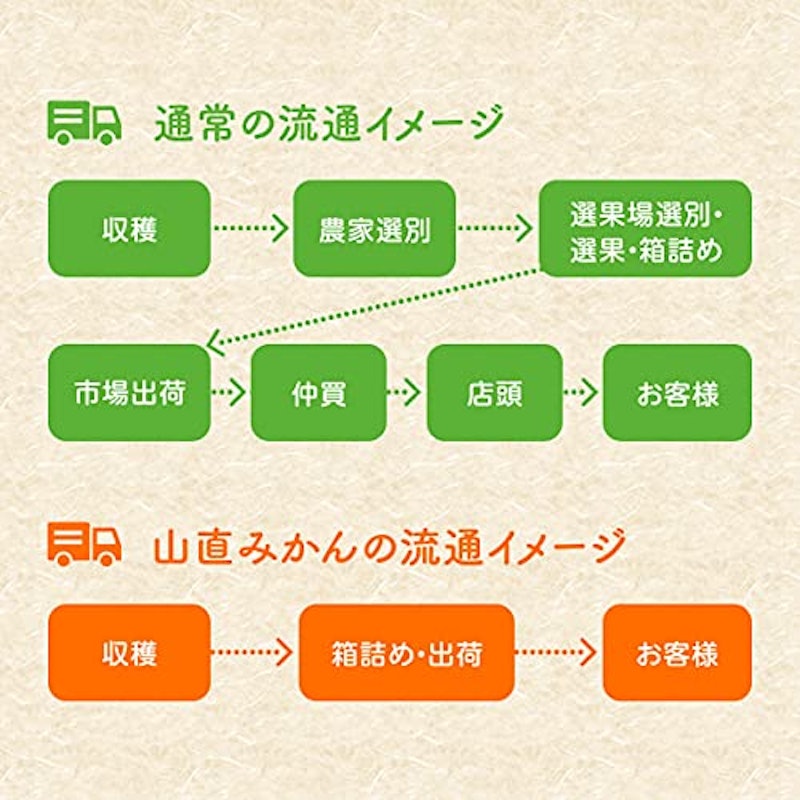 有田みかん 7
