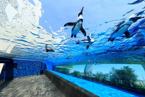 2023年】東京都内の水族館のおすすめ人気ランキング10選 | mybest