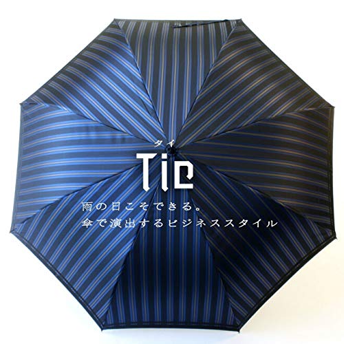 Stripe×Plain BLUE 2