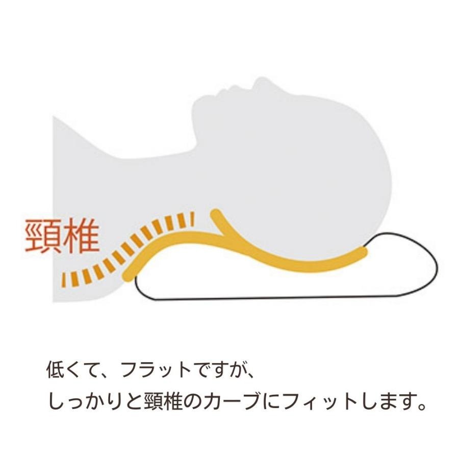 フラットピッコロ 5