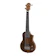 ホスコ Electric Bass Ukulele 1