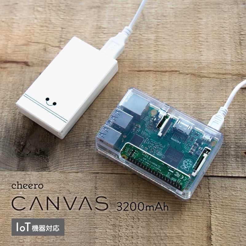 Canvas 3200mAh IoT 機器対応USB-C Ver. 5