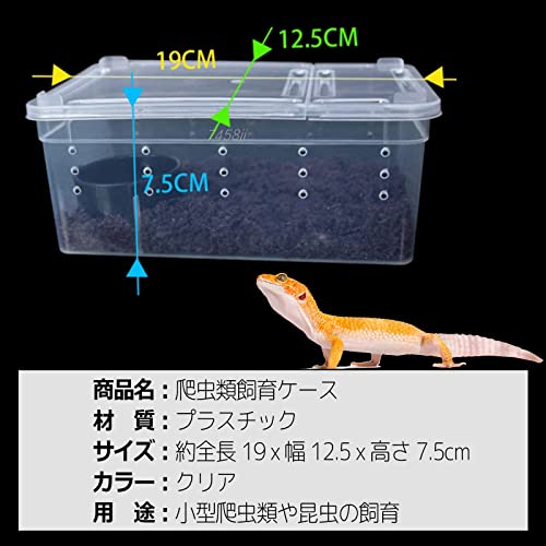 爬虫類用ケージのおすすめ人気ランキング【2025年】 | マイベスト