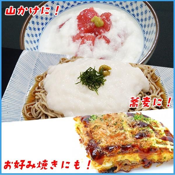 北海道産長芋のとろろ 5