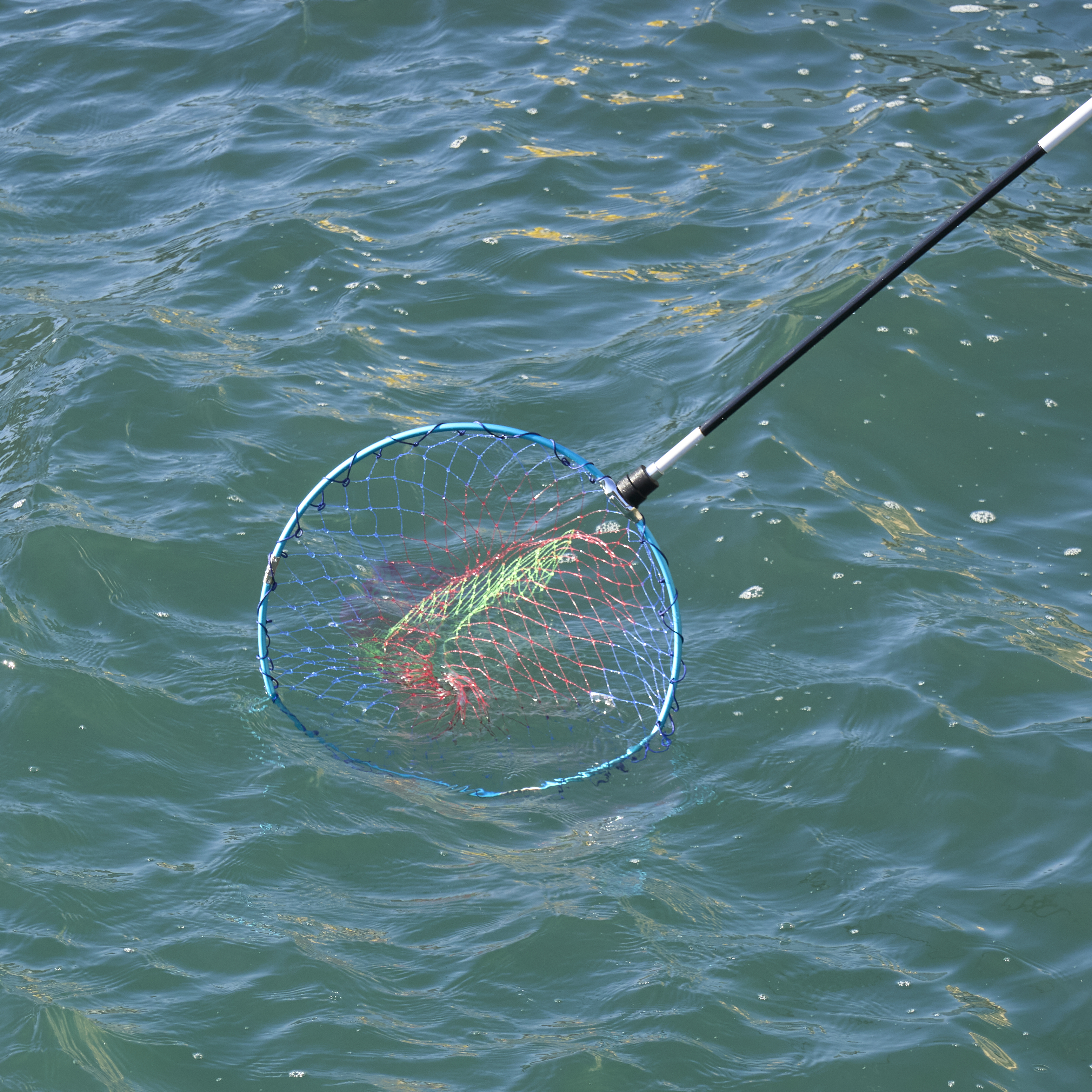 磯釣り用竿、磯玉網まとめ売り 磯釣り用竿、磯玉網まとめ売り Yahoo!オークション -「ダイワ磯玉網」の