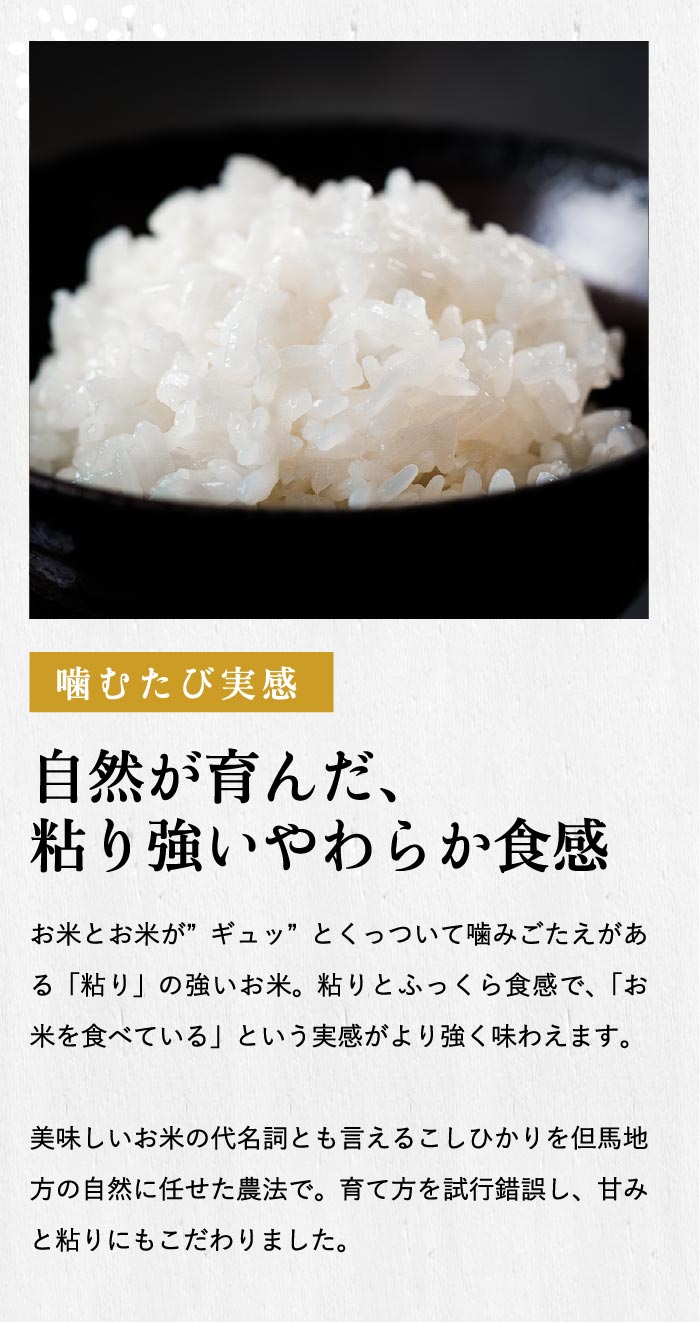 パックご飯 コウノトリ育むお米 3