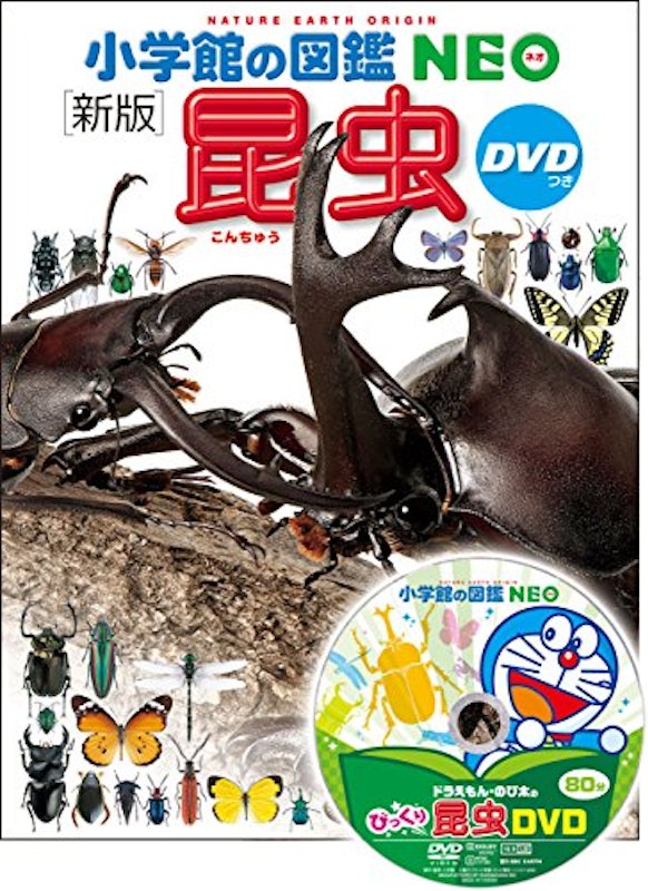 小学館の図鑑NEO 新版 昆虫 1