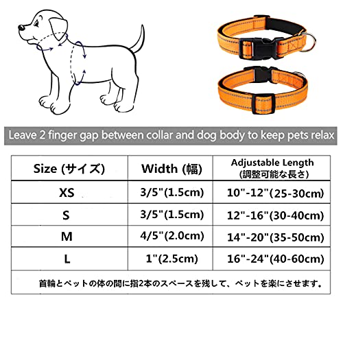 犬首輪 2