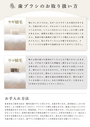 柔らかい天然毛歯ブラシ 8