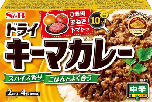 ドライキーマカレー 1