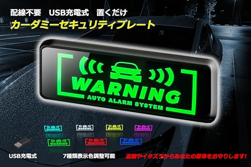 車用カーセキュリティダミー 2