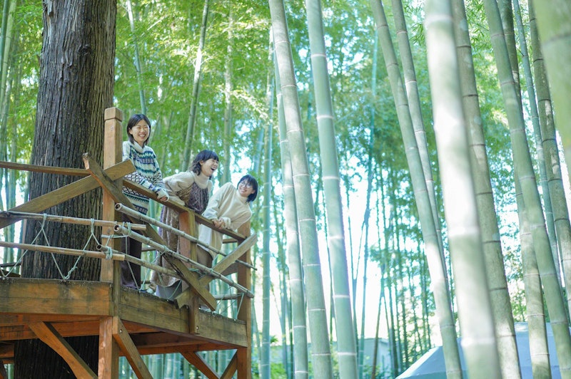 The Bamboo forest 2