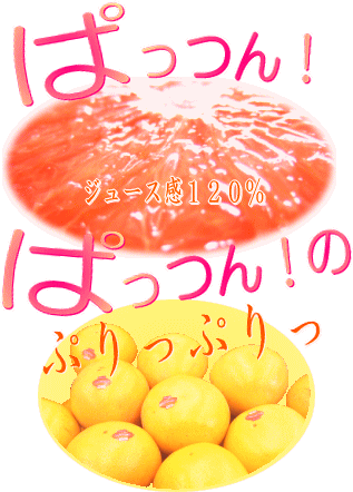 特選グレープフルーツ 2