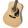 GIBSON Songmaker DR-100 1