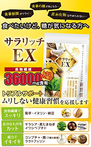 サラリッチEX 2