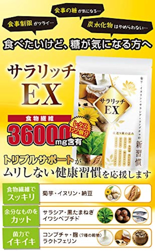 サラリッチEX 2