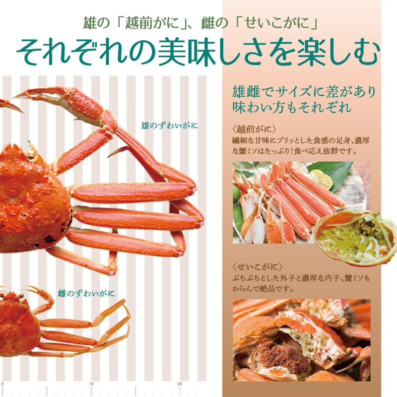 越前がに 甲羅盛り 3