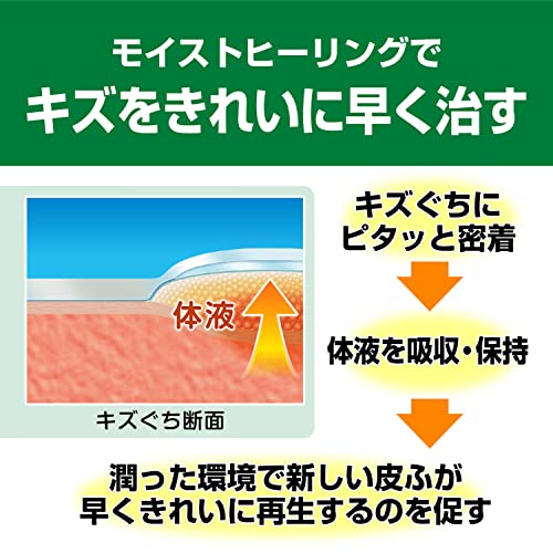 治す力 3