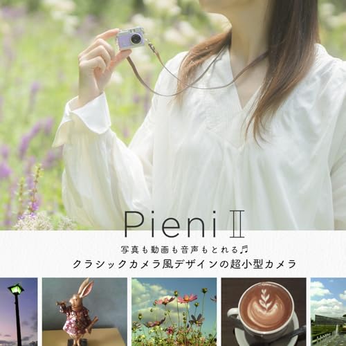 Pieni II 2