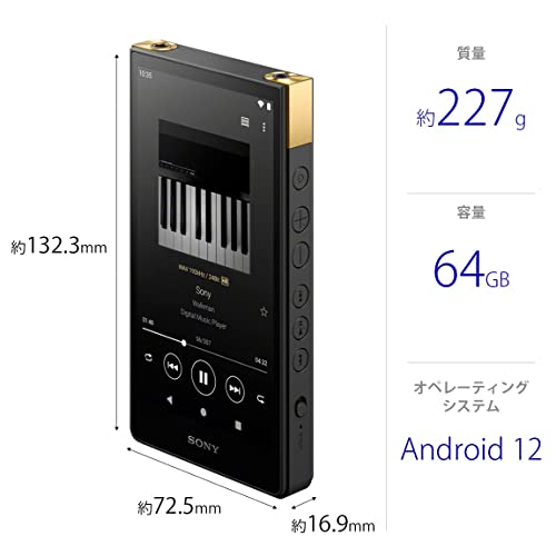 ONKYO DP-X1 しょっぱくっ 256GB分microSD付属 ハイレゾ