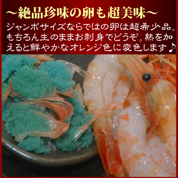ぼたん海老 4