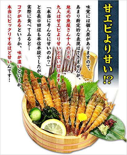 越前がらえび 2