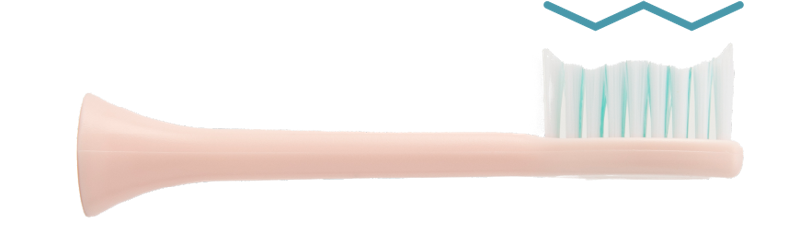 Dentaly 9