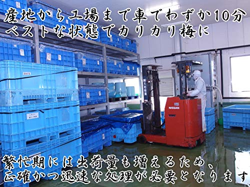 国産かりんこ梅 7