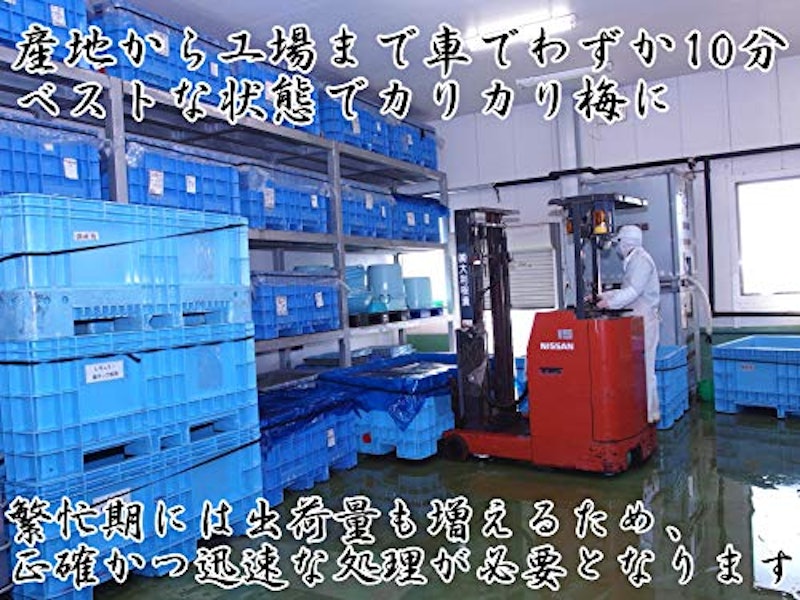 国産かりんこ梅 7