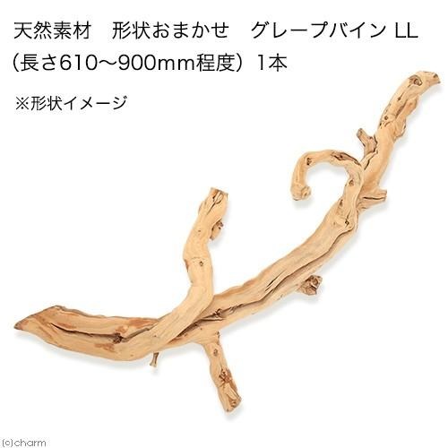 天然素材 ぶどうの木 形状お任せ グレープバイン 1