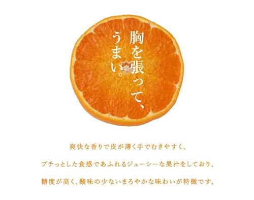 ひぜんユース 4