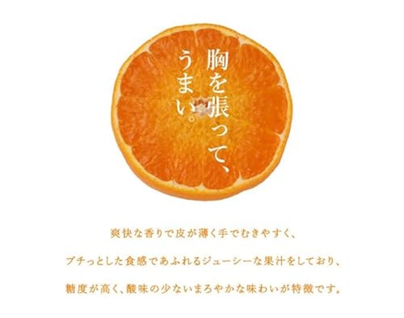 ひぜんユース 4
