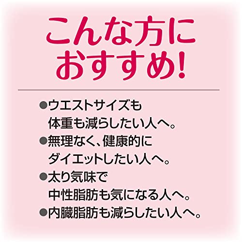 スリムバリアV6 9