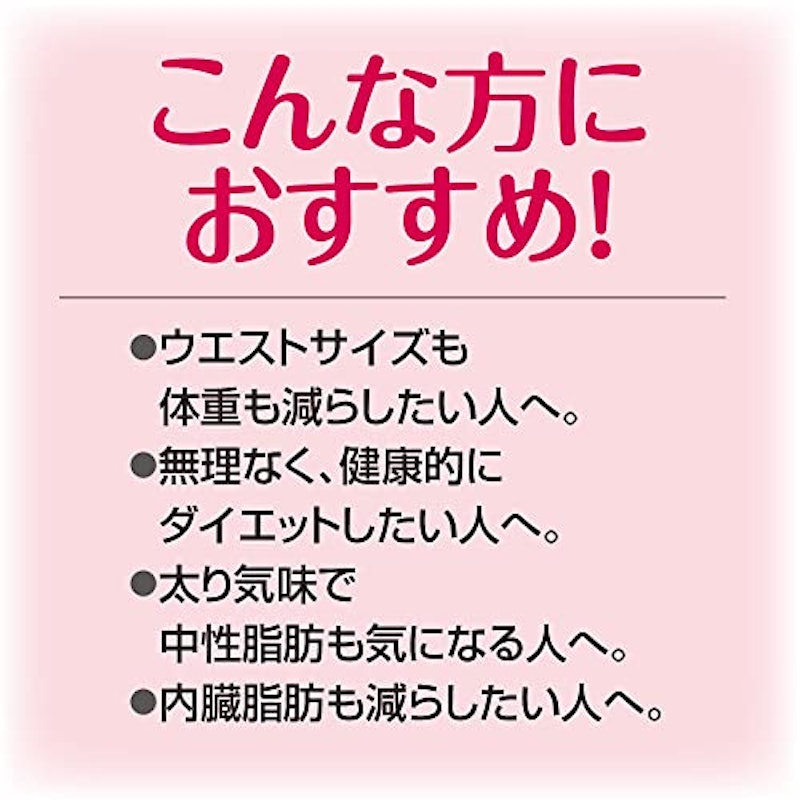 スリムバリアV6 9