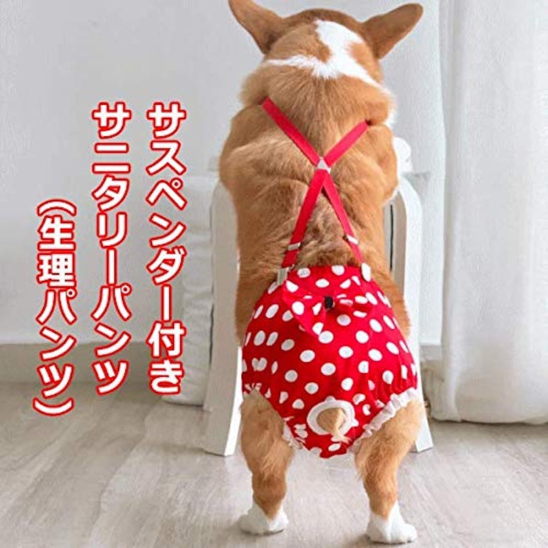 21年 犬用サニタリーパンツのおすすめ人気ランキング10選 Mybest 21年 犬用サニタリーパンツのおすすめ人気ランキング10選 Mybest
