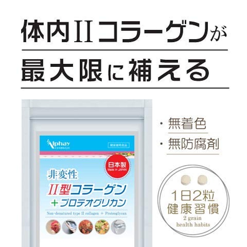 非変性Ⅱ型コラーゲン+プロテオグリカン 5