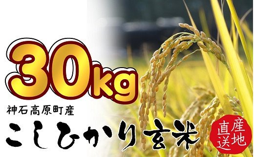 2022年】玄米のふるさと納税返礼品のおすすめ人気ランキング10選 | mybest