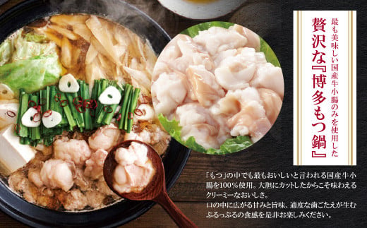 博多もつ鍋 あごだし醤油味 4