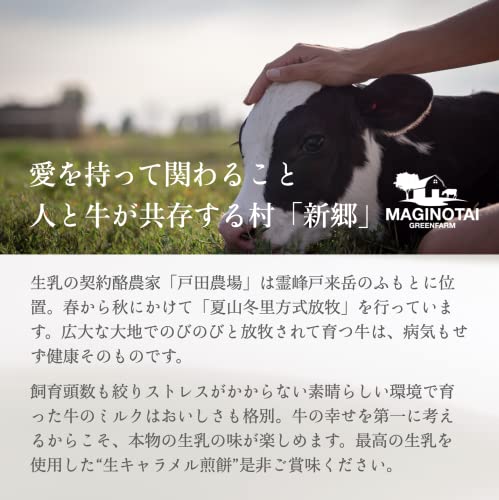 新郷生キャラ煎餅 7