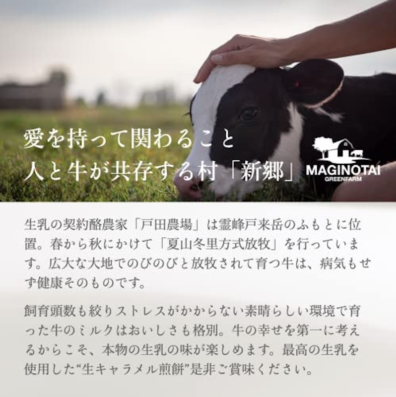 新郷生キャラ煎餅 7