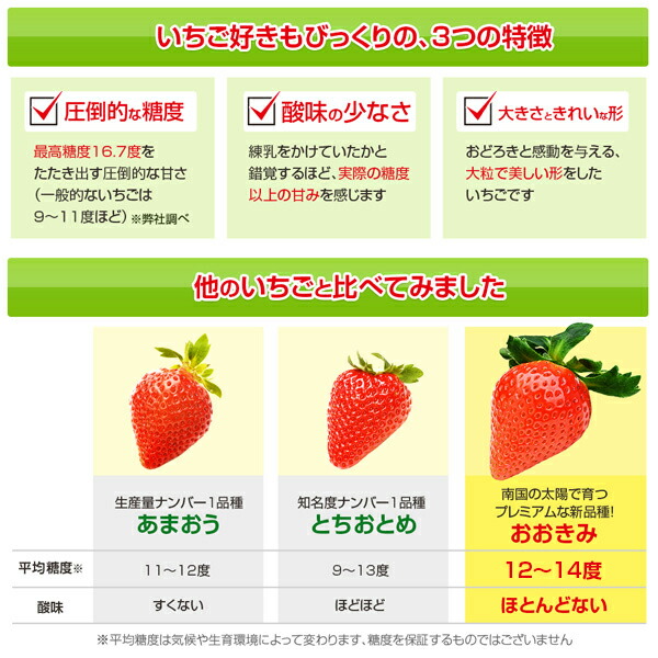 宮崎産高級いちご「おおきみ」超特大9粒 6