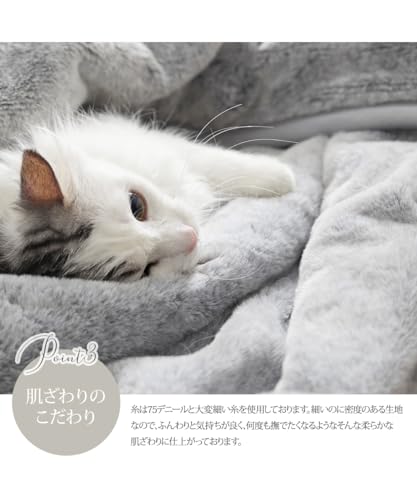 まるで猫！のようなモフモフブランケッㇳ 7